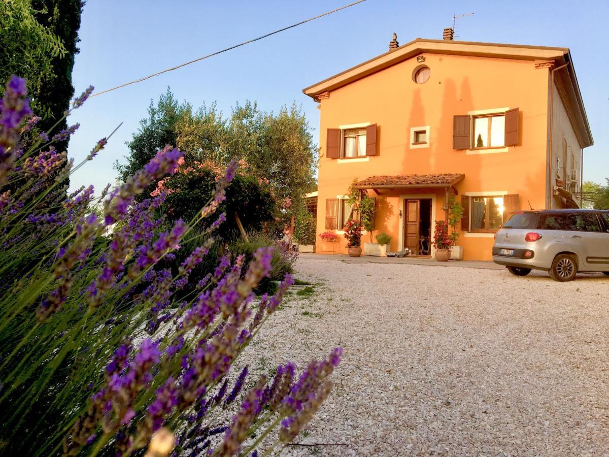 Locanda Della Lavanda San Clemente  Zewnętrze zdjęcie