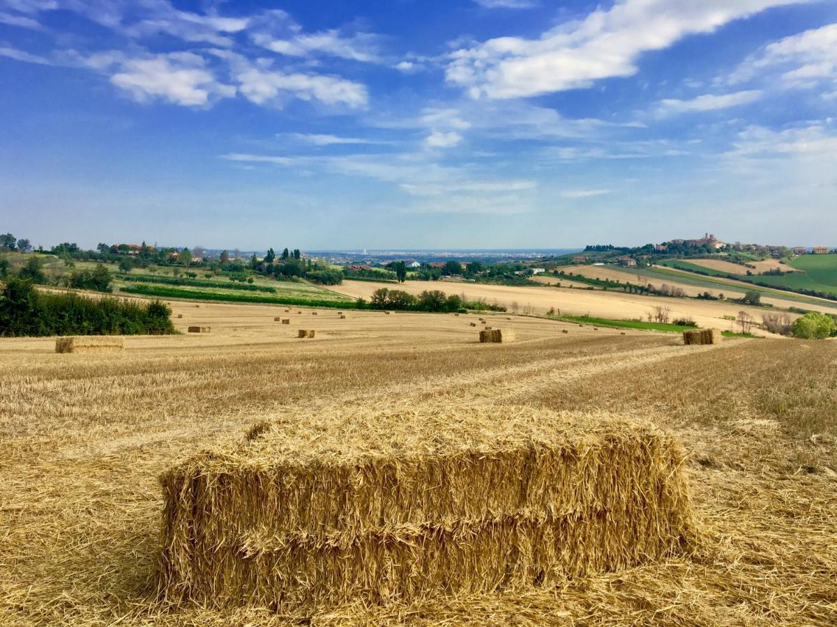 Locanda Della Lavanda San Clemente  Zewnętrze zdjęcie